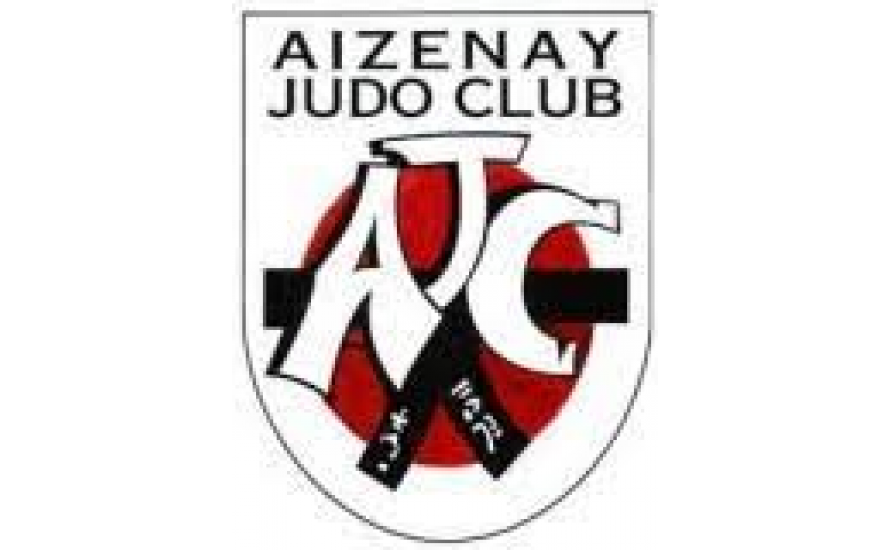 Logo du AIZENAY JUDO CLUB